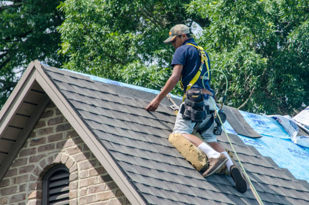 Professional Roofing Contractor in Elkton, KY